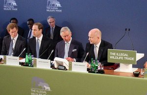 The Illegal Wildlife Conference