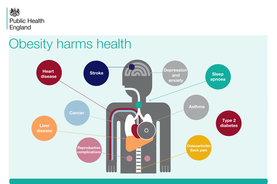 Infographic explaining how obesity harms health.