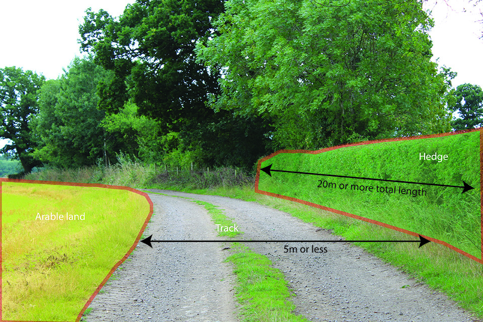 RPA helps farmers by providing guidance on greening rules 2016