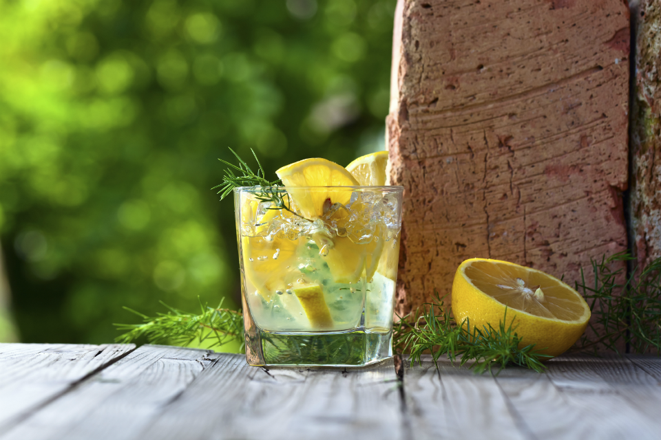 Why remaining in the EU is just the tonic for the gin industry (Archived)