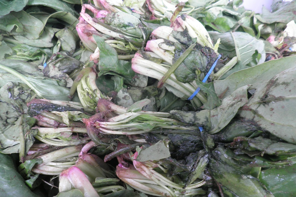 West Yorkshire retailers fined for rotten fruit and veg