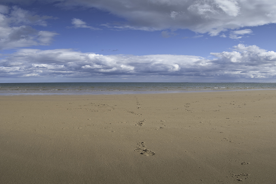 MMO support second round of EMFF England FLAG launch events