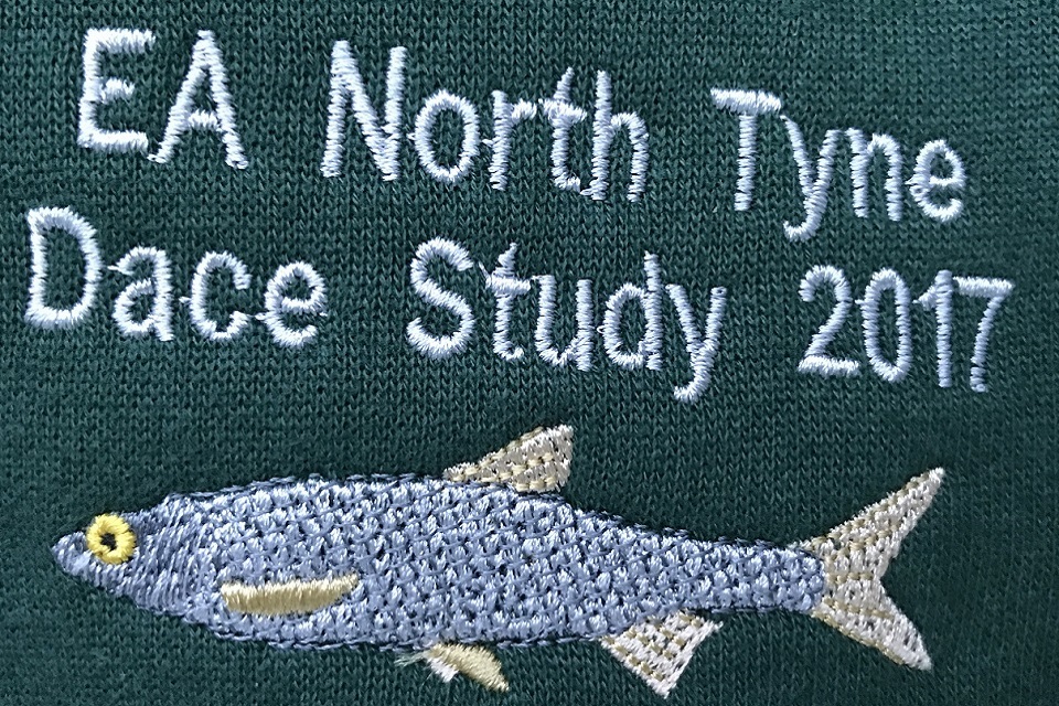 Happy Dace for north east fish surveys