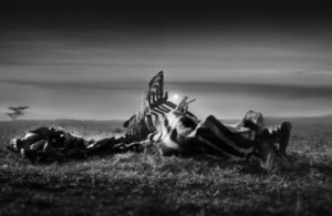 James Alexander from near Canterbury, picture of mummified zebra carcass in Kenya showing the deadly effects of drought.