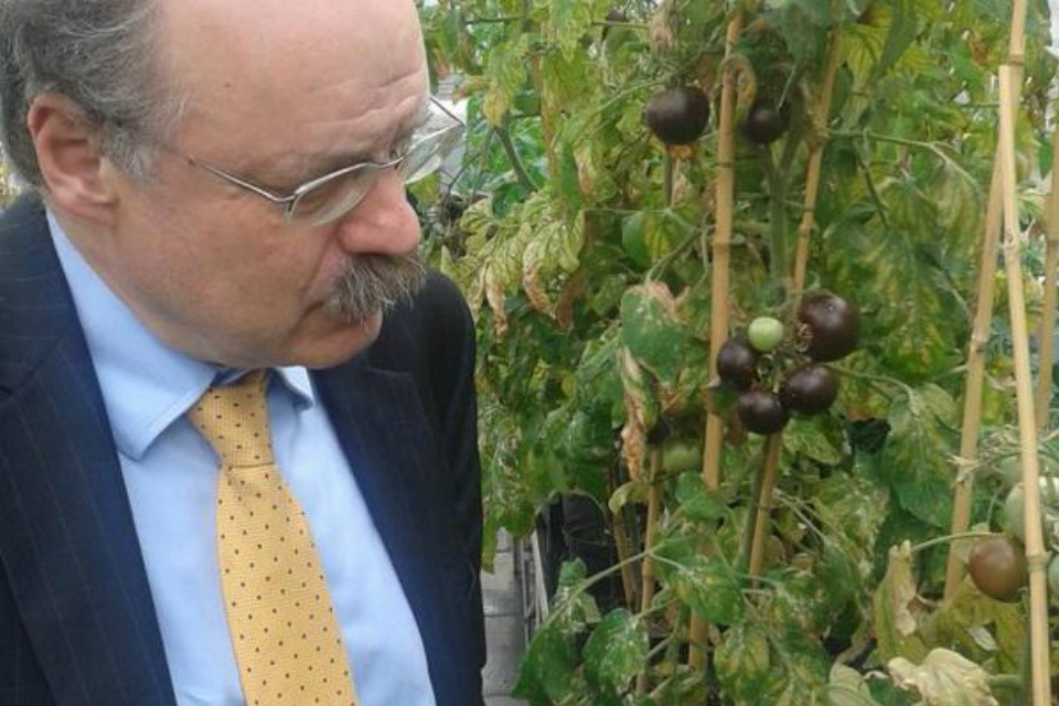 Growing our future: plant science to address global challenges and boost UK growth