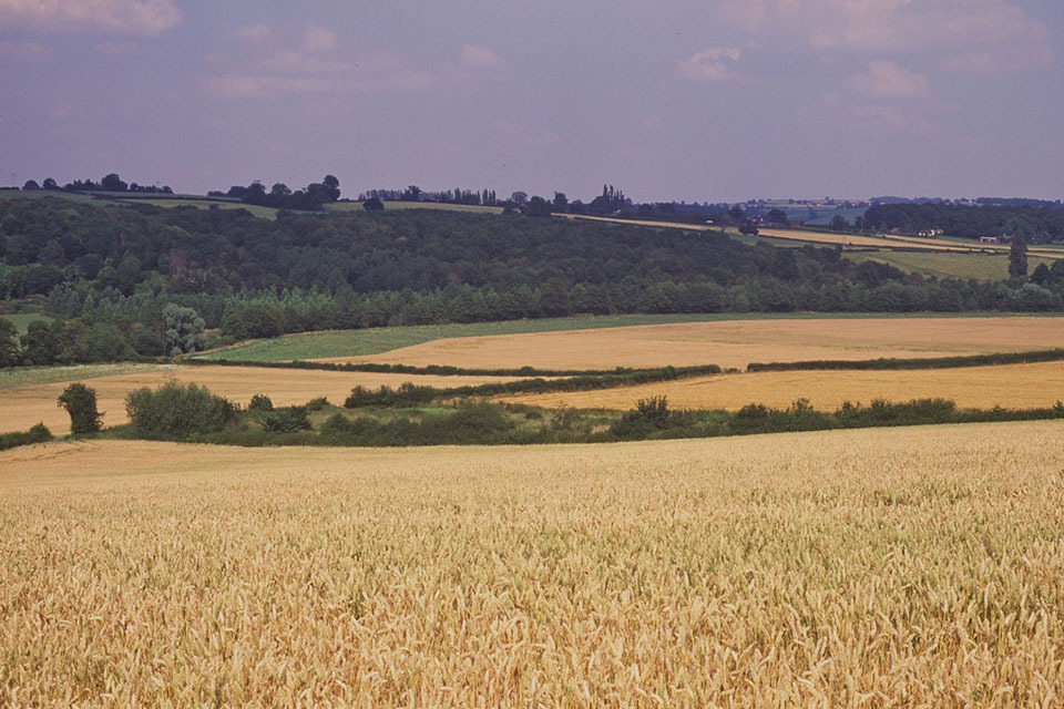 Apply now for cash to promote and inform on EU agricultural produce