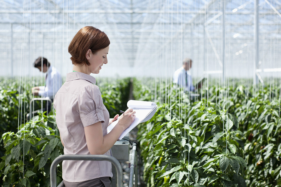 Woman with clipboard, surrounded by plants in a commercial greenhouse 