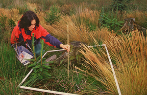 Survey taking place at site using quandrant.