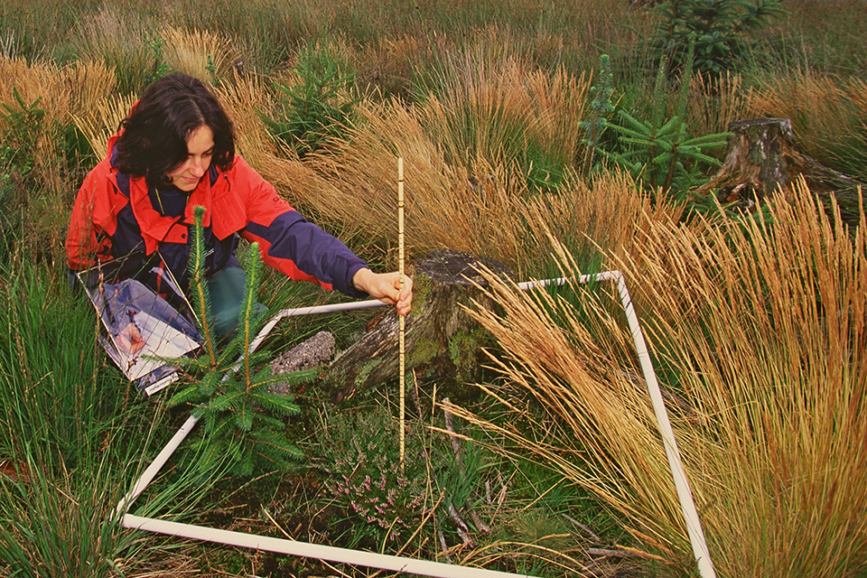 Natural England joins GOV.UK