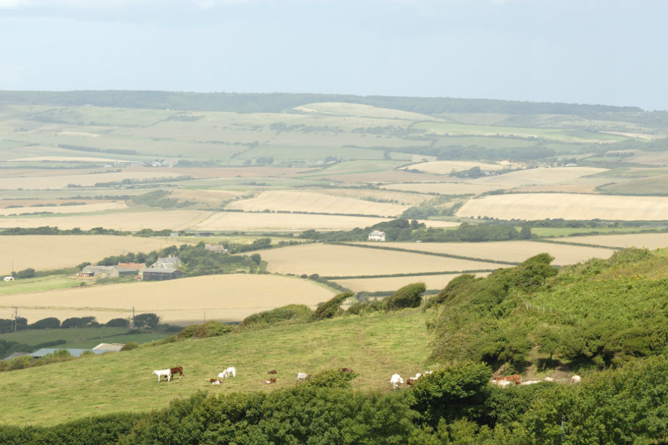 £7 million Growth Programme funding for rural businesses