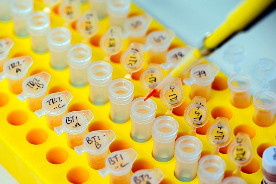 Industrial biotechnology: funding boost for UK projects