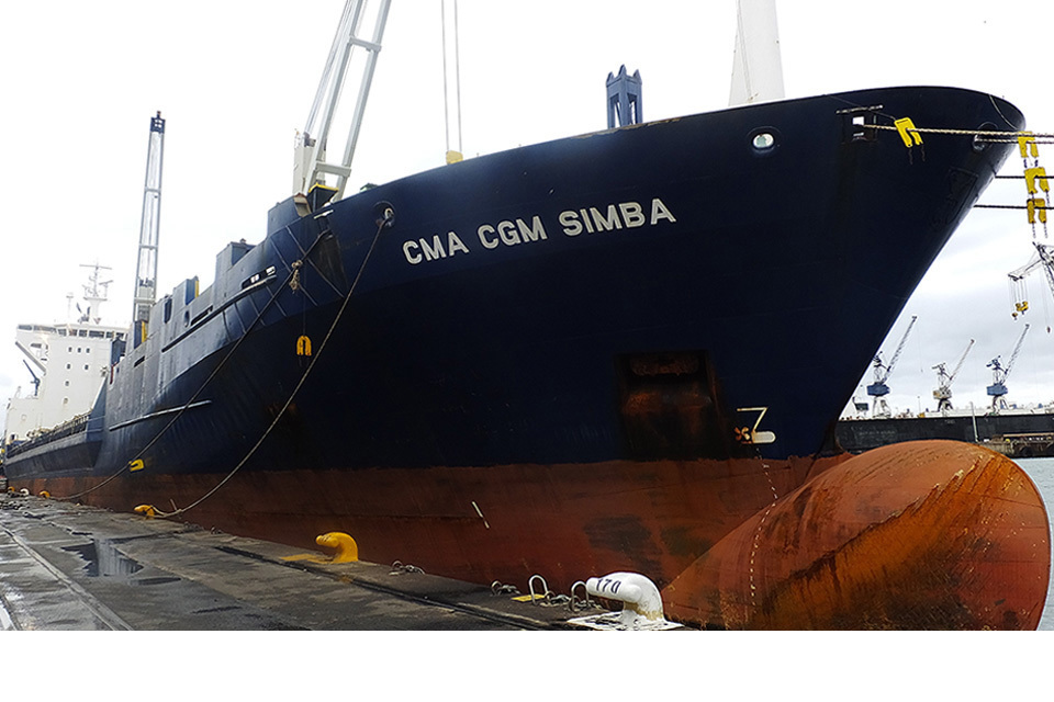 CMA CGM Simba and Domingue report published