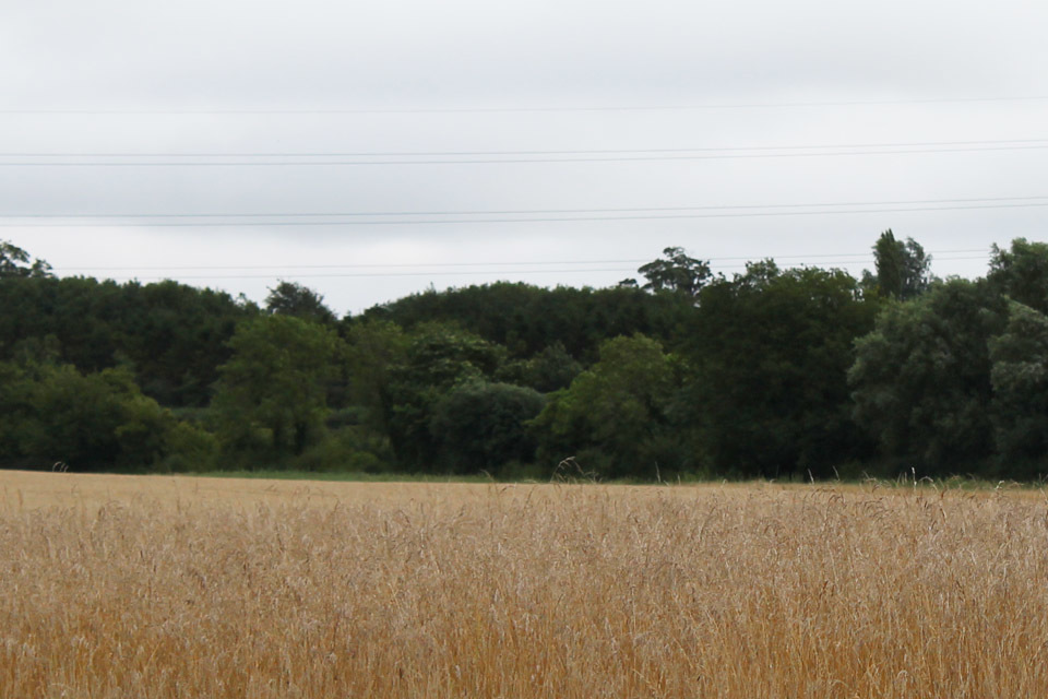 RPA making good progress towards BPS payments for farmers