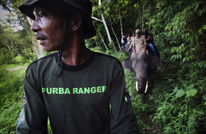 Forest rangers on patrol in Indonesia. Picture: Abbie Trayler-Smith/Panos Pictures/DFID.