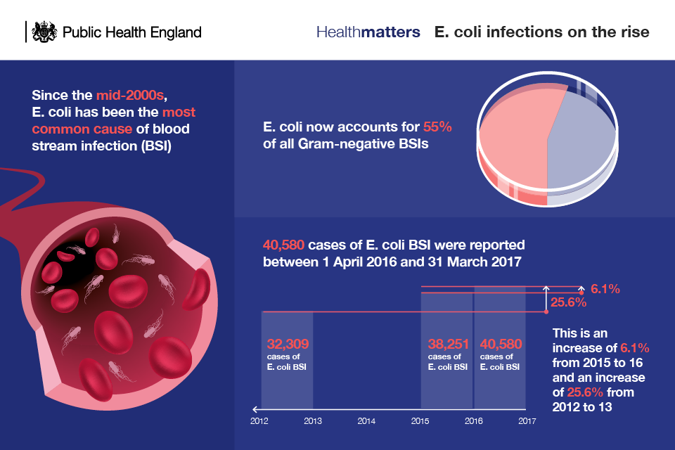 Infographic showing E. coli infections on the rise