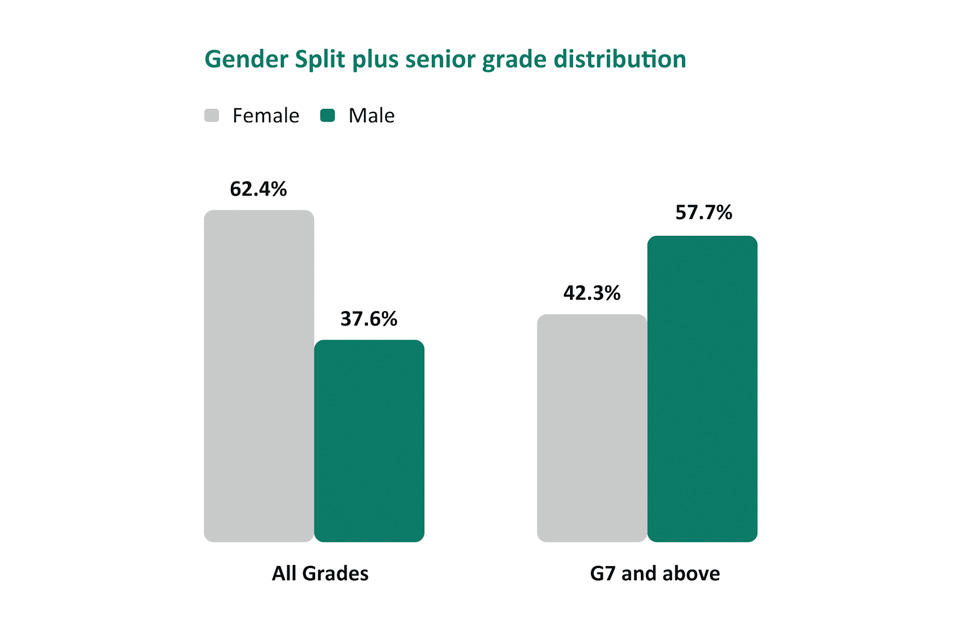 gender split