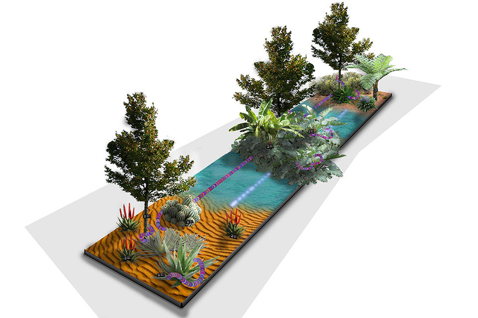 APHA garden at RHS Chelsea Flower Show highlights global pest threats