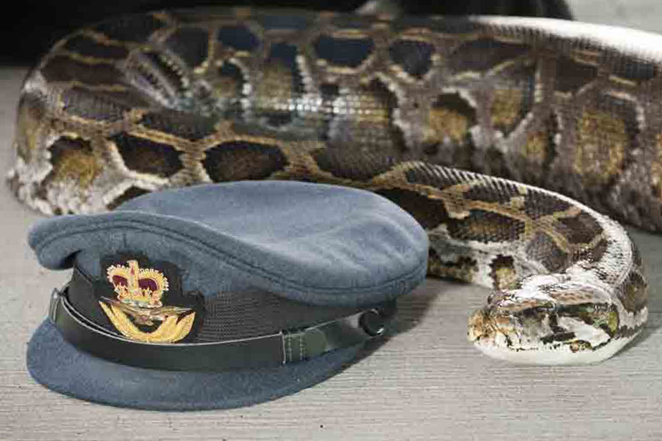 Squadron's longest serving member slides into retirement