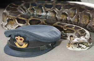 Squadron Leader Eric the Snake Aldrovandi alongside a Royal Air Force Commissioned Officer Hat