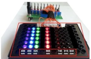 Novel light array system for high-throughput screening of cell cultures to allow effective discrimination of therapeutic effects.