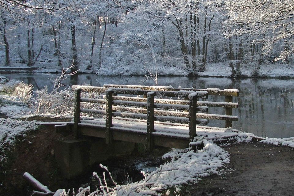 Welcome to the Real Winter Wonderland