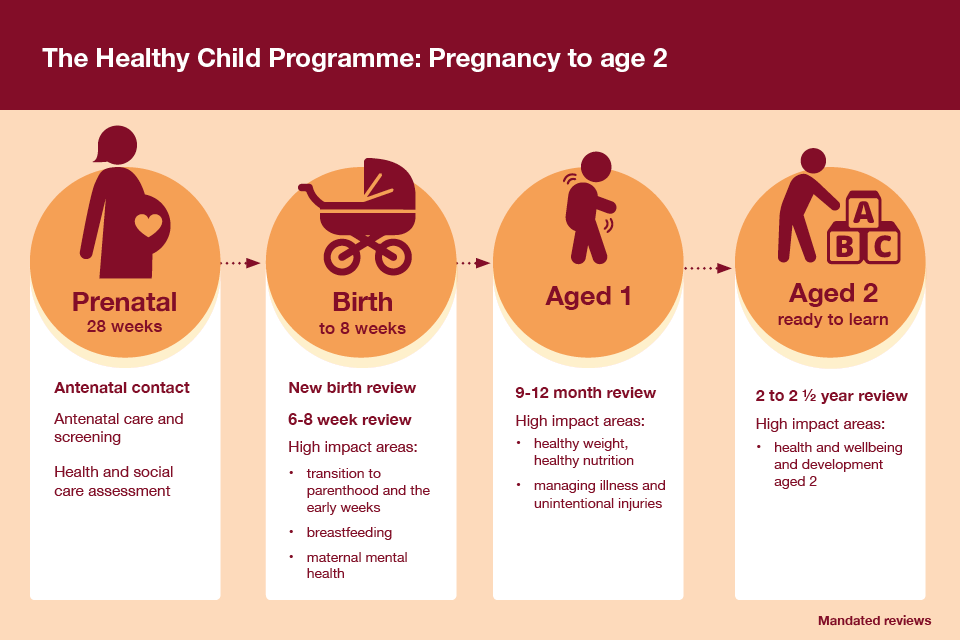 Infographic showing the elements of the Health Child Programme from pregnancy to age 2.