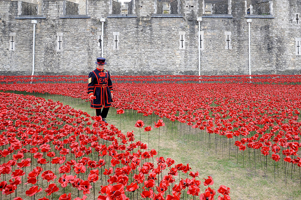 Walking through the field of poppies