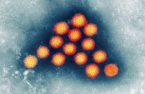 Rotavirus