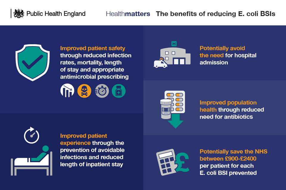 Infographic showing the benefits of reducing E. coli bloodstream infections