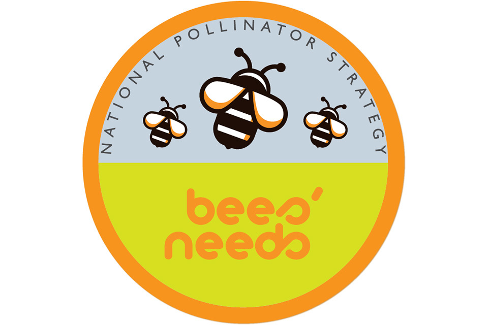 Boost for bees thanks to new projects for pollinators