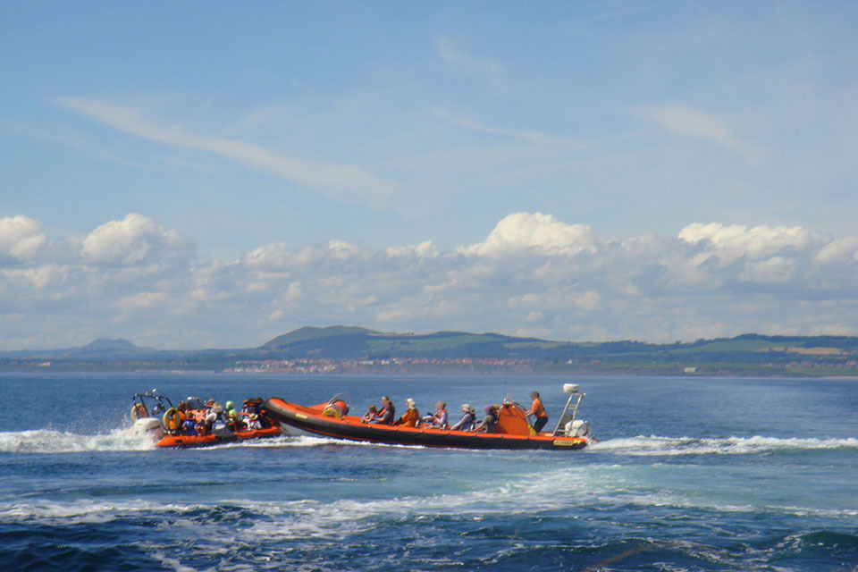 Osprey RIBs report and flyer published