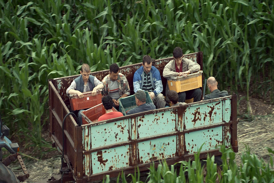 Government action to tackle slavery in supply chains