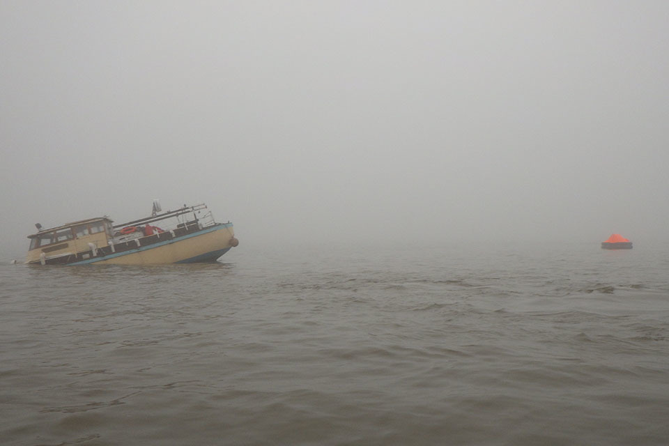 Petunia Seaways and Peggotty report published