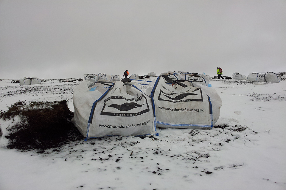 Ancient peatlands to grow again
