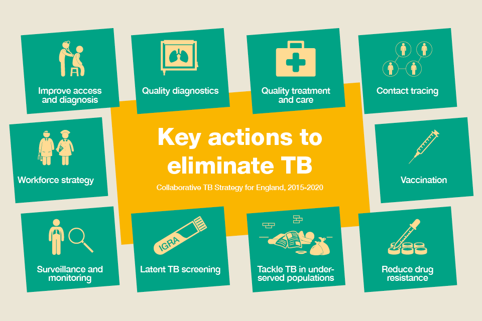 Infographic showing a summary of key actions to eliminate TB