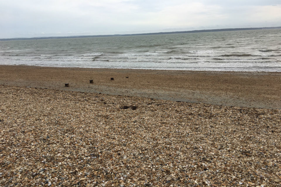 MMO welcomes National Grid for industry interchange