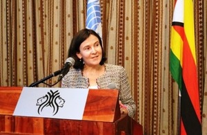 Annabel Gerry - Head of Department for International Development Zimbabwe