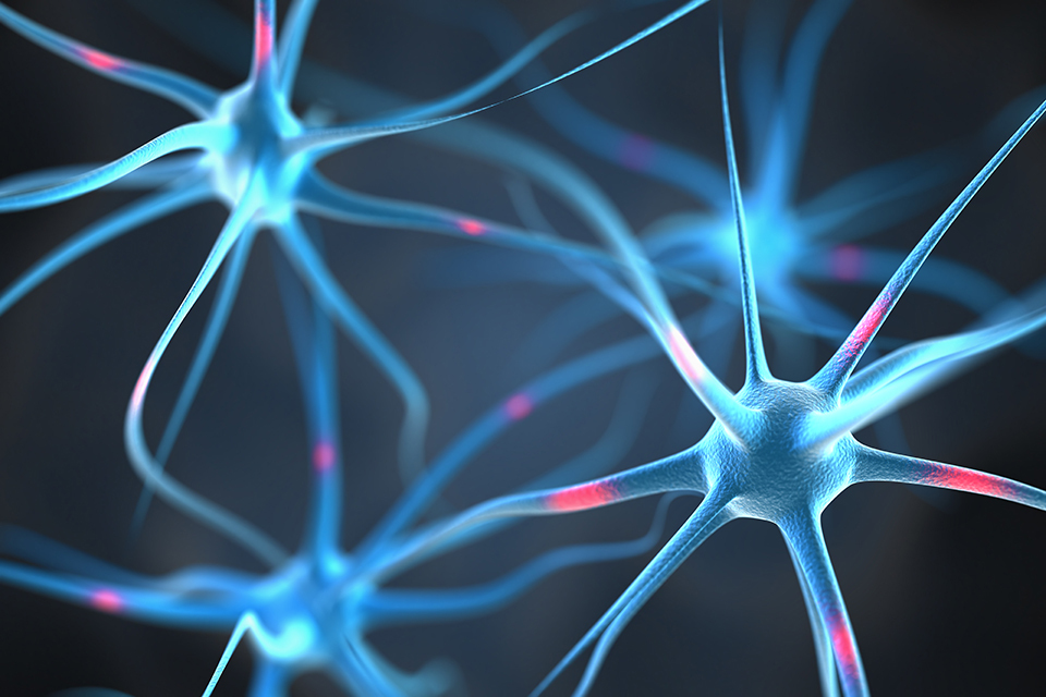Regenerative medicine: apply for £8 million business funding