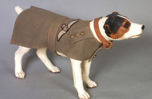 A dog jacket as worn by a Yorkshire Terrier
