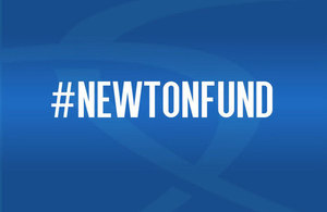 Logo Newton Fund