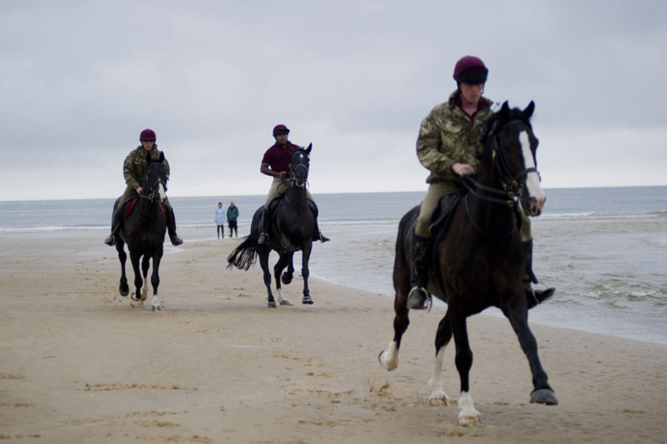 Horses of the Household Cavalry Mounted Regiment on Holkham beach 