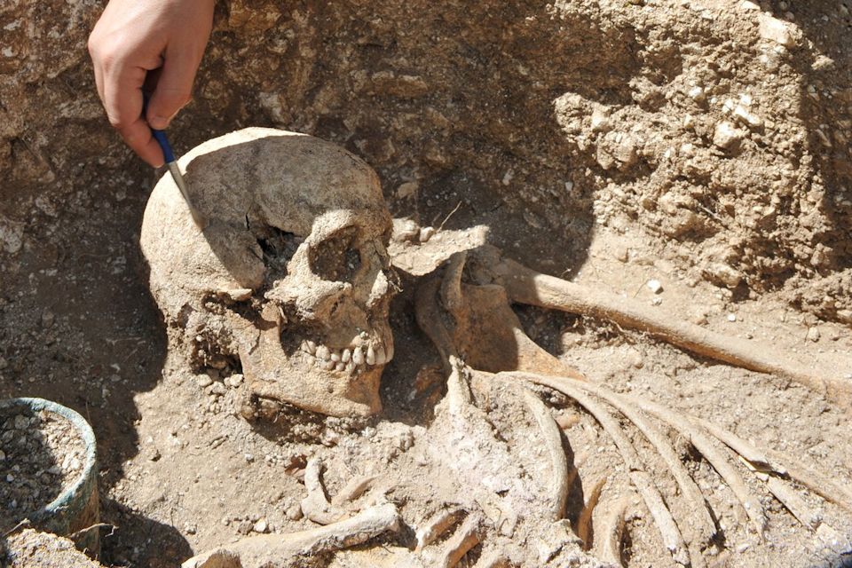 Operation Nightingale excavation shortlisted for prestigious archaeological award