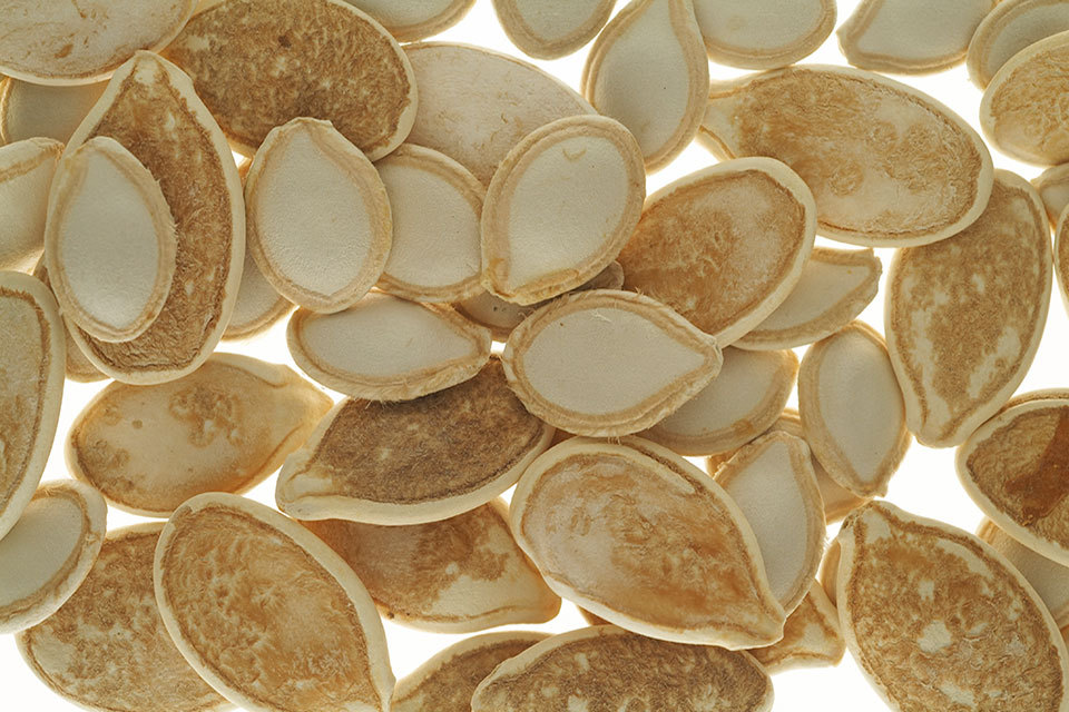 Twyford seed supplier, Herbiseed Ltd, guilty of phytosanitary certificate fraud