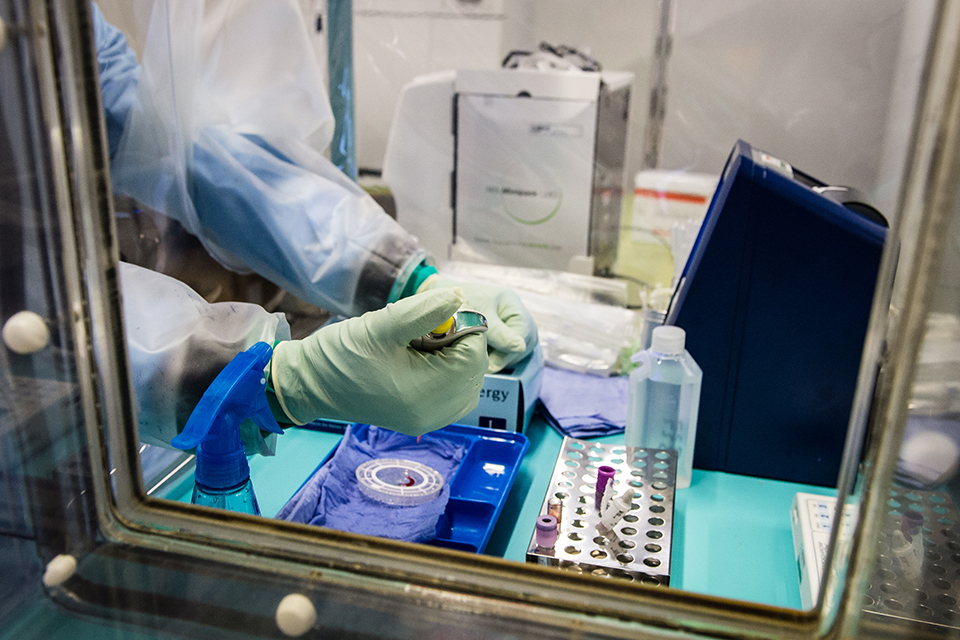 A medical technician tests blood samples