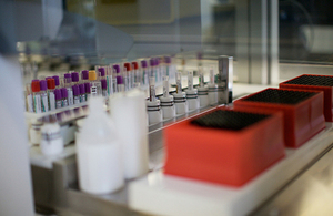 Test tubes and bottles from a lab