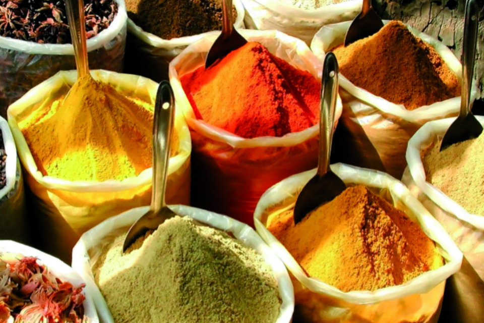Protecting the consumer: real time DNA detection in spices
