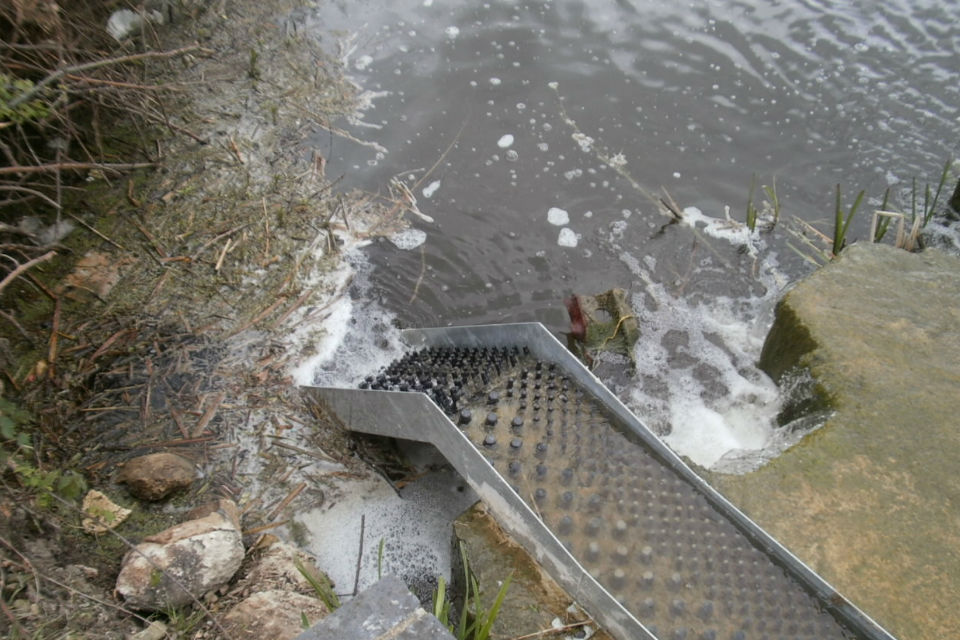 New eel passes installed on the Bedford Ouse - GOV.UK