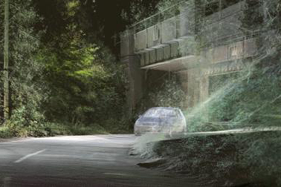 Country roads: deadlier than you THINK!