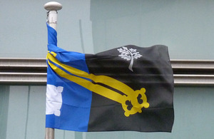 Surrey flag flying outside Eland House
