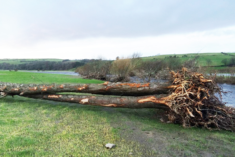 First £1 million paid to help recovery of flood-hit farmers